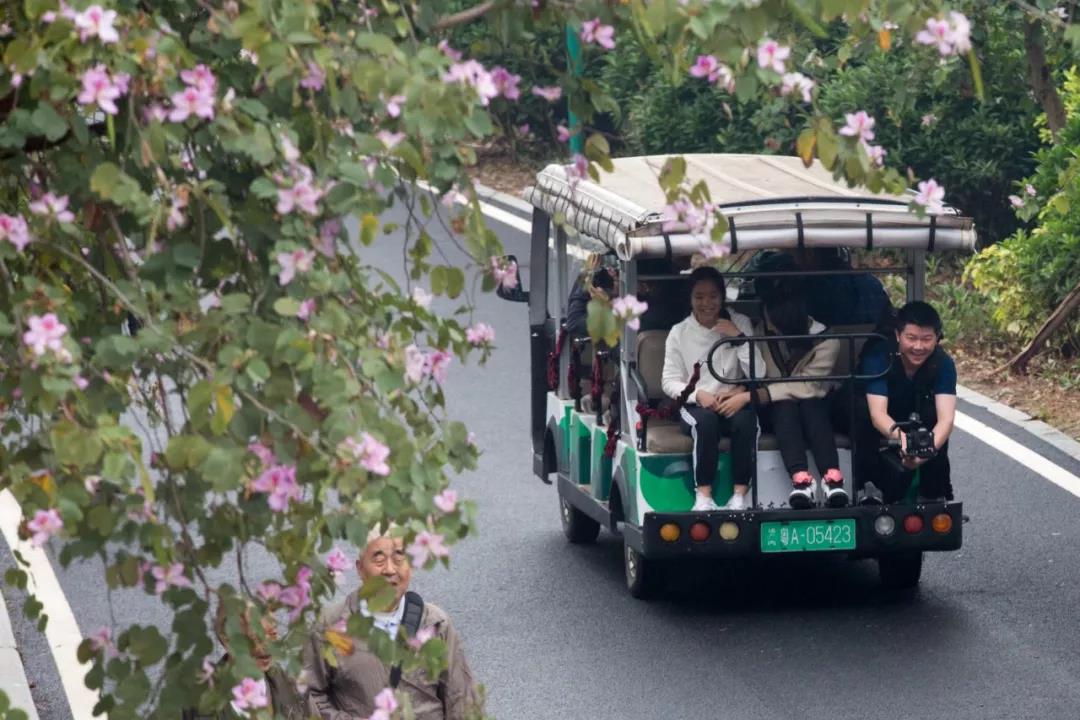 华附国际部日慈善跑